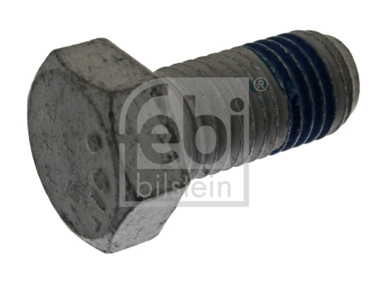 Bolt, brake caliper